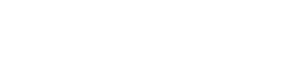 FF-Logo-2023-BLK-horizontal